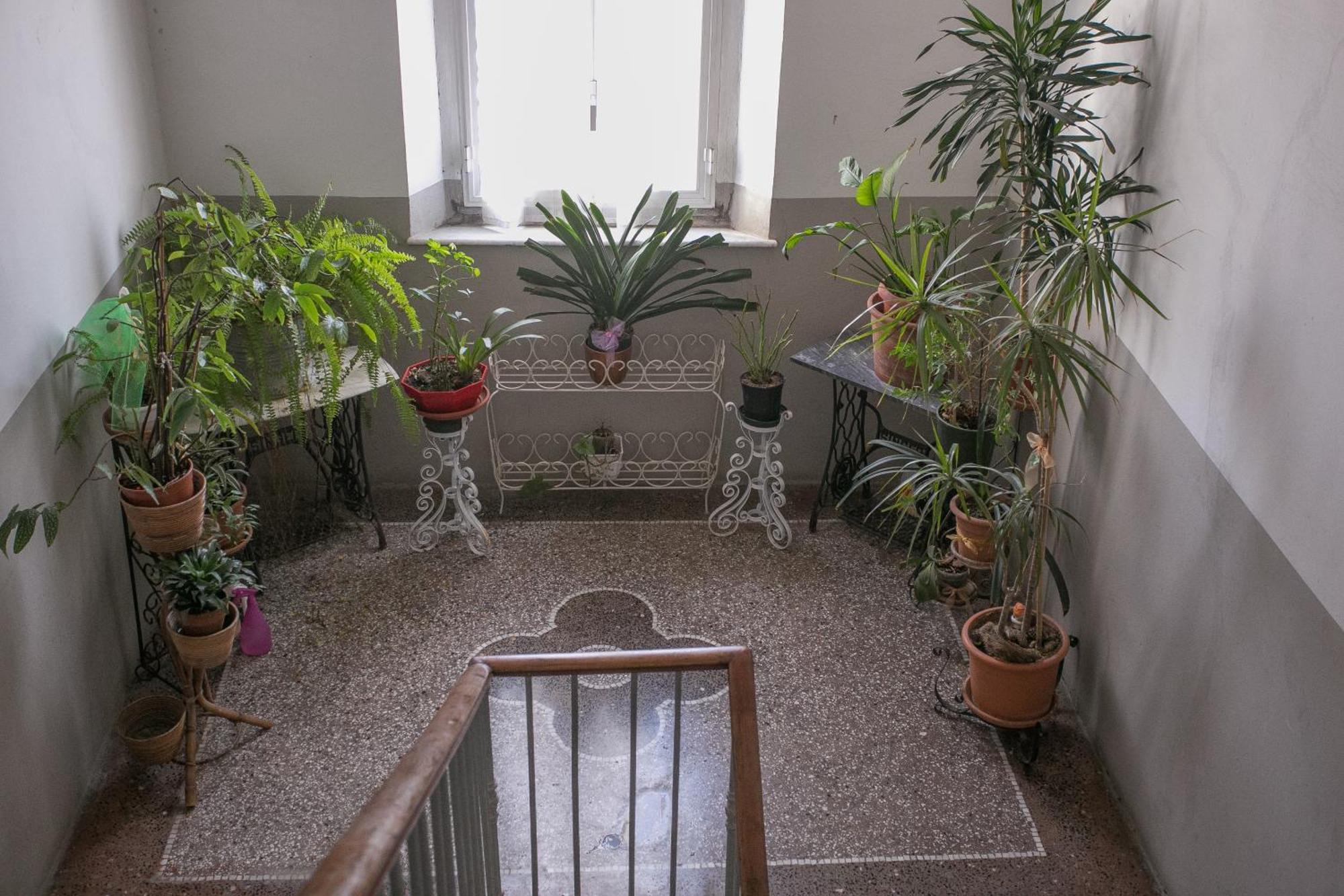 La Finestra Sul Mare B&B Livorno Dış mekan fotoğraf